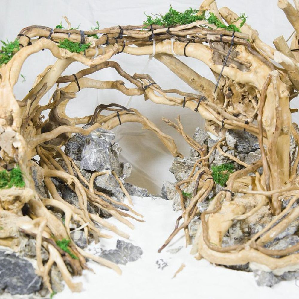 1 Pcs Wood Reptile Fish Tank O - Aquarium Plant Design 评论和价格