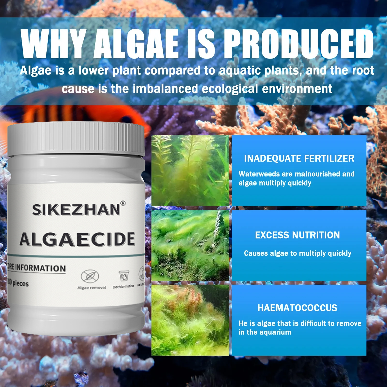 Fish Tank Algaecide Tablets，Cl - Planted Aquarium Algae Control 评论和价格