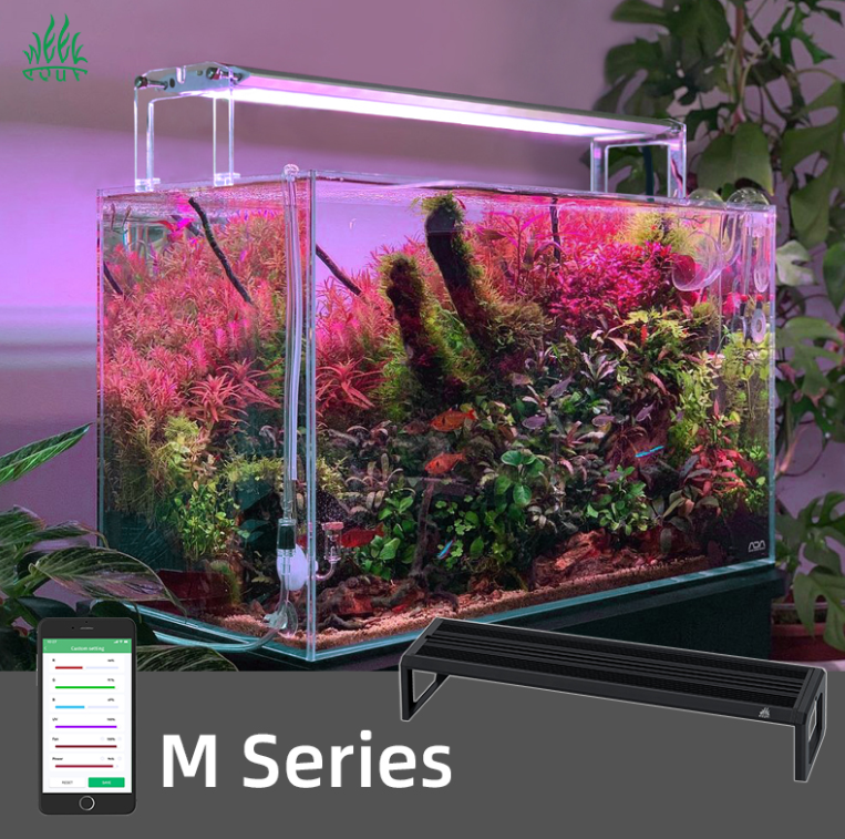 WEEK AQUA M Series 400mm Aquar - Planted Aquarium Cycling 评论和价格