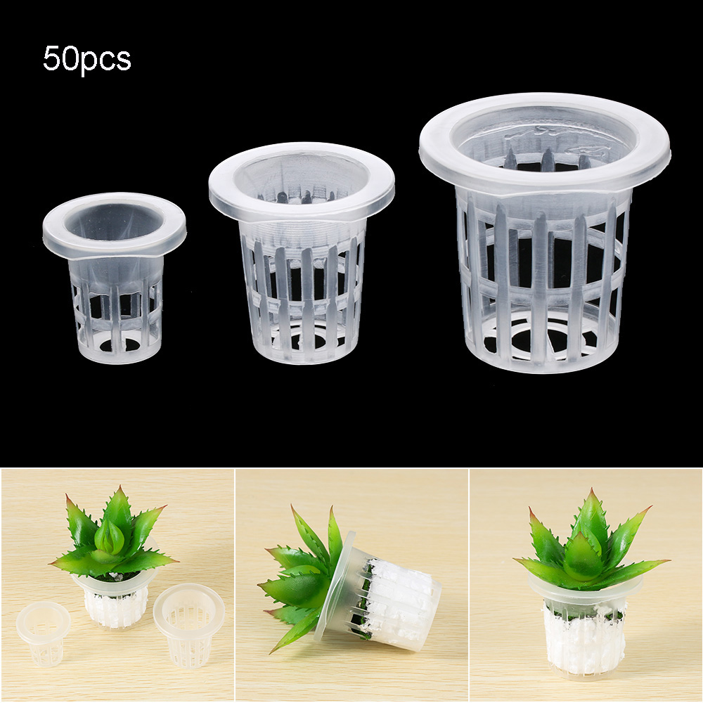 10/50pcs Garden Supplies Aquar - Aquarium Plant Seeds 评论和价格