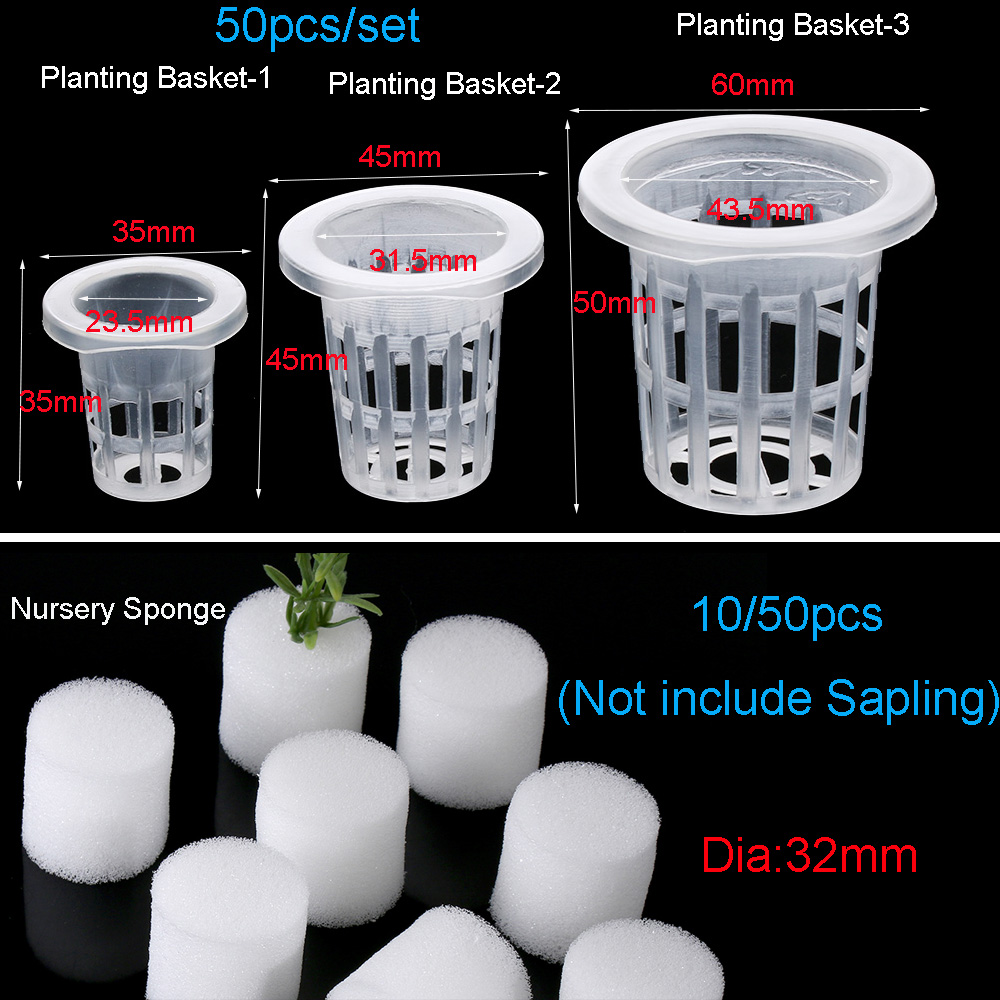 10/50pcs Garden Supplies Aquar - Aquarium Plant Seeds 评论和价格