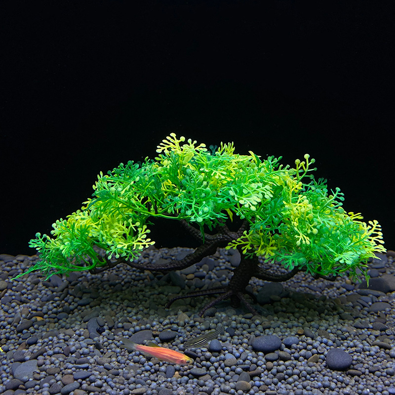 Aquarium bonsai tree, plant, f - Aquarium Plant Seeds 评论和价格