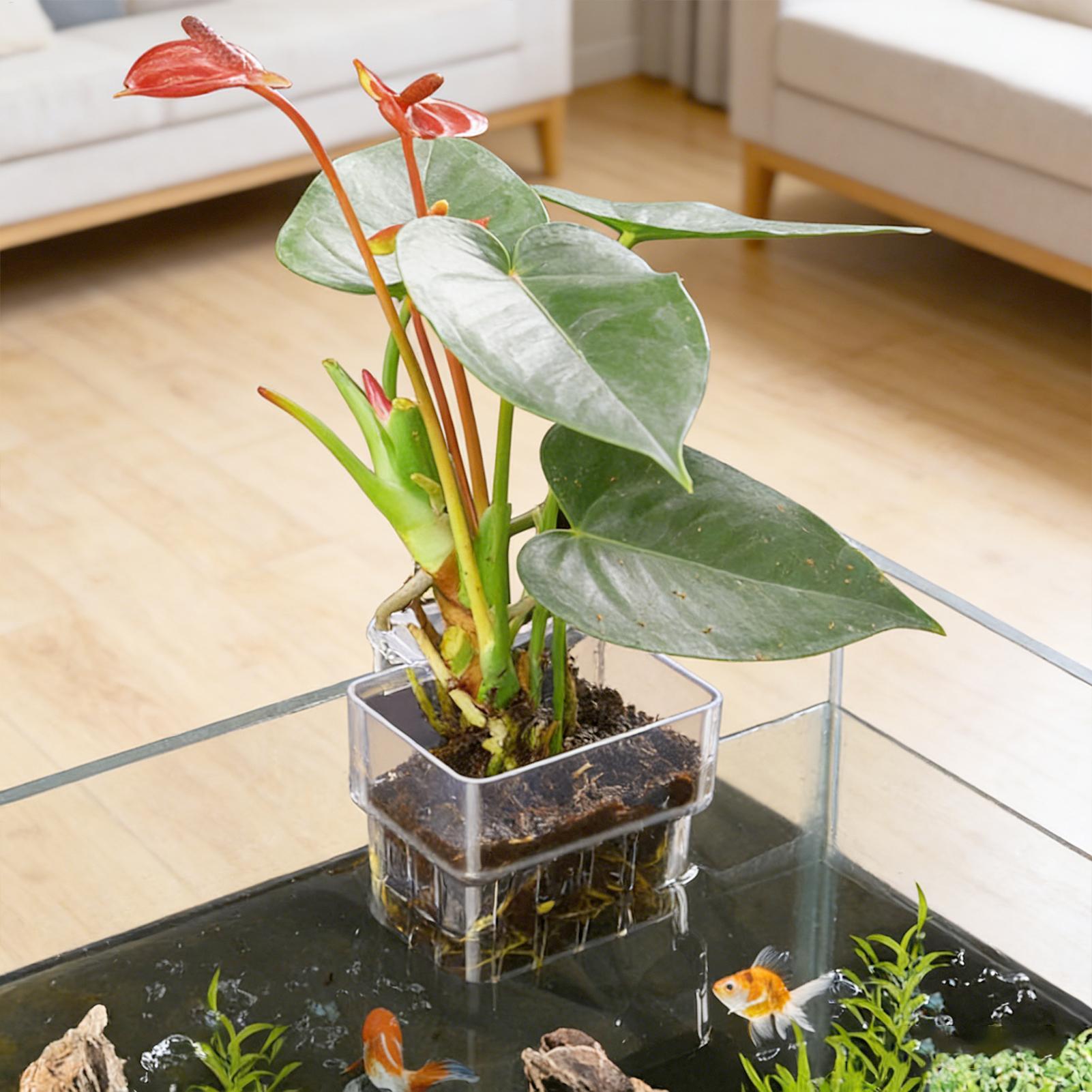 Transparent Hangable Pot Aquar - Aquarium Plant Design 评论和价格