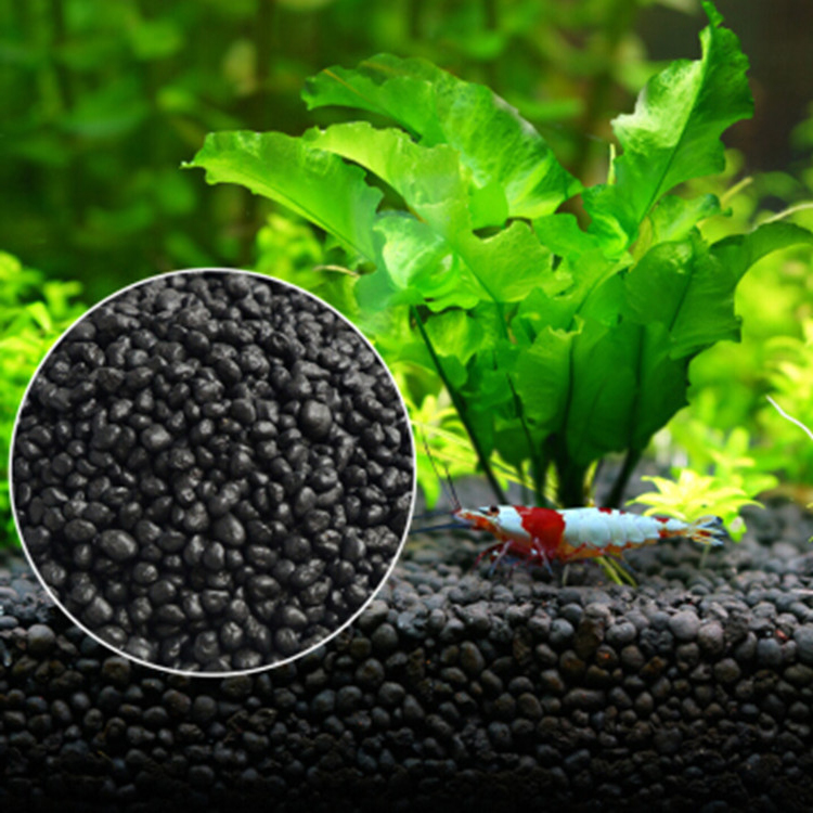 Aquarium Plant Seeds Soil Fish - Aquarium Plant Seeds 评论和价格