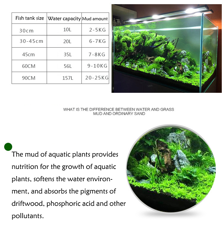 Aquarium Plant Seeds Soil Fish - Aquarium Plant Seeds 评论和价格