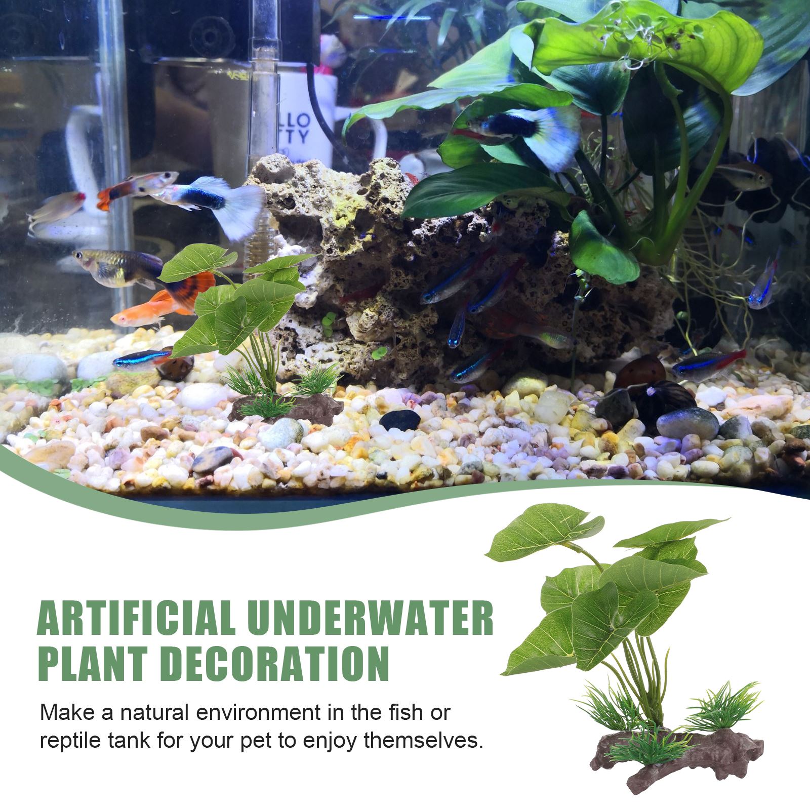 Artificial Underwater Plant Aq - Aquarium Plant Seeds 评论和价格