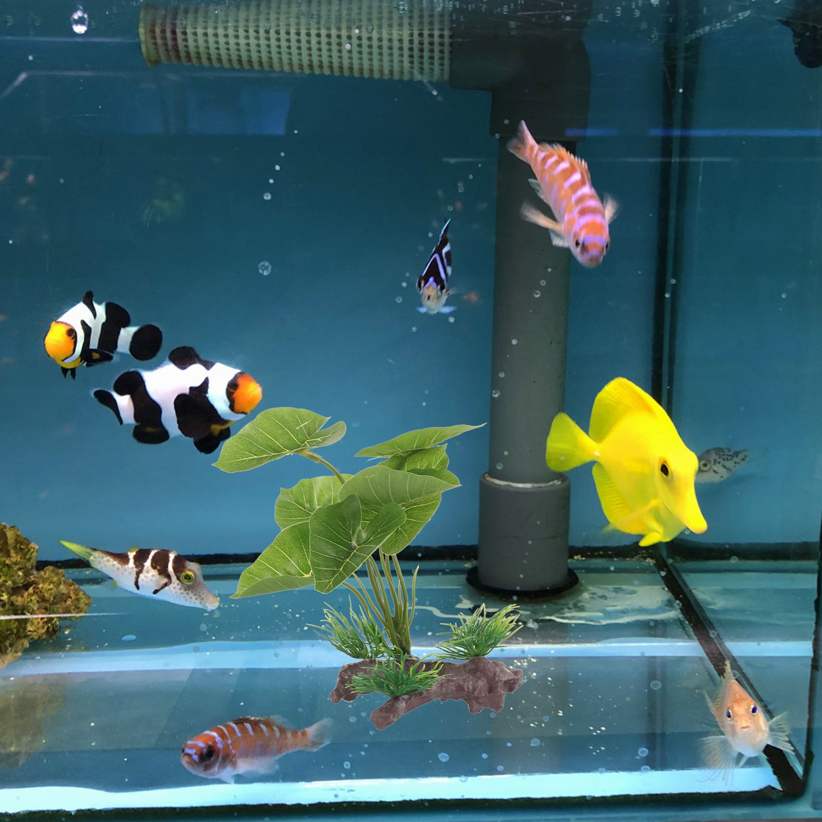 Artificial Underwater Plant Aq - Aquarium Plant Seeds 评论和价格