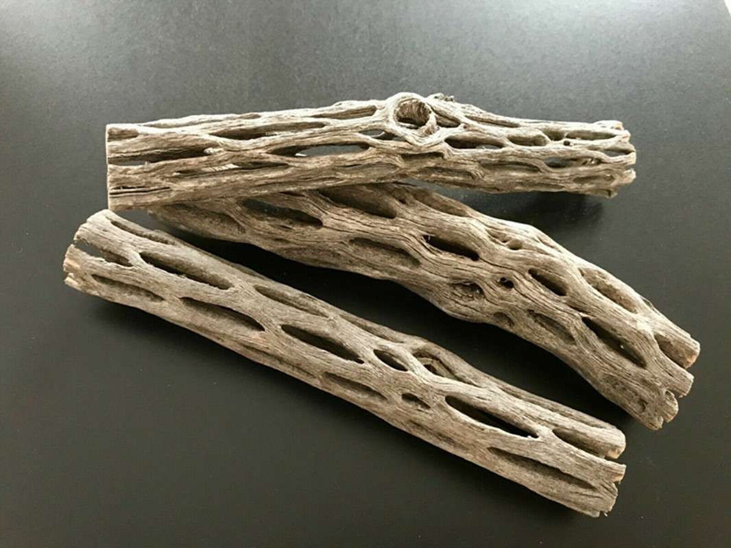 Organic/Natural Aquarium Choll - Aquarium Plant Seeds 评论和价格