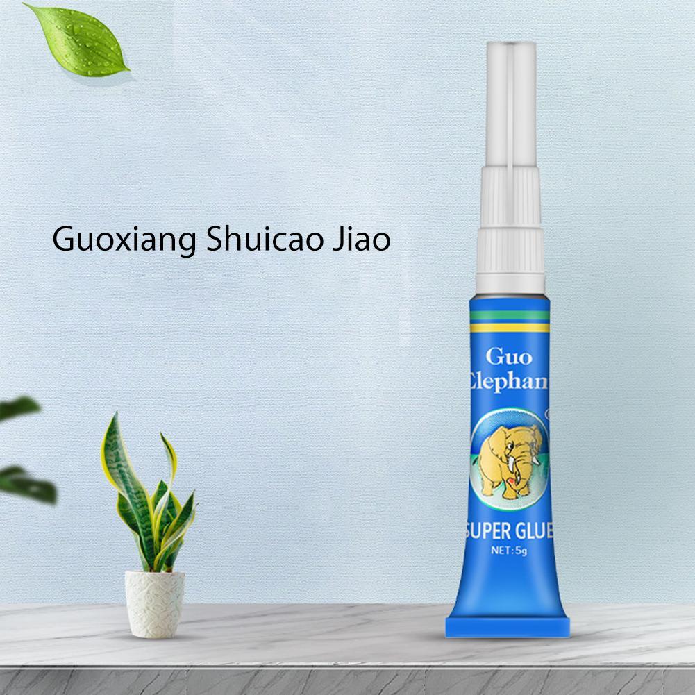 Aquatic Plants Driftwood Under - Aquarium Plant Glue Gel 评论和价格