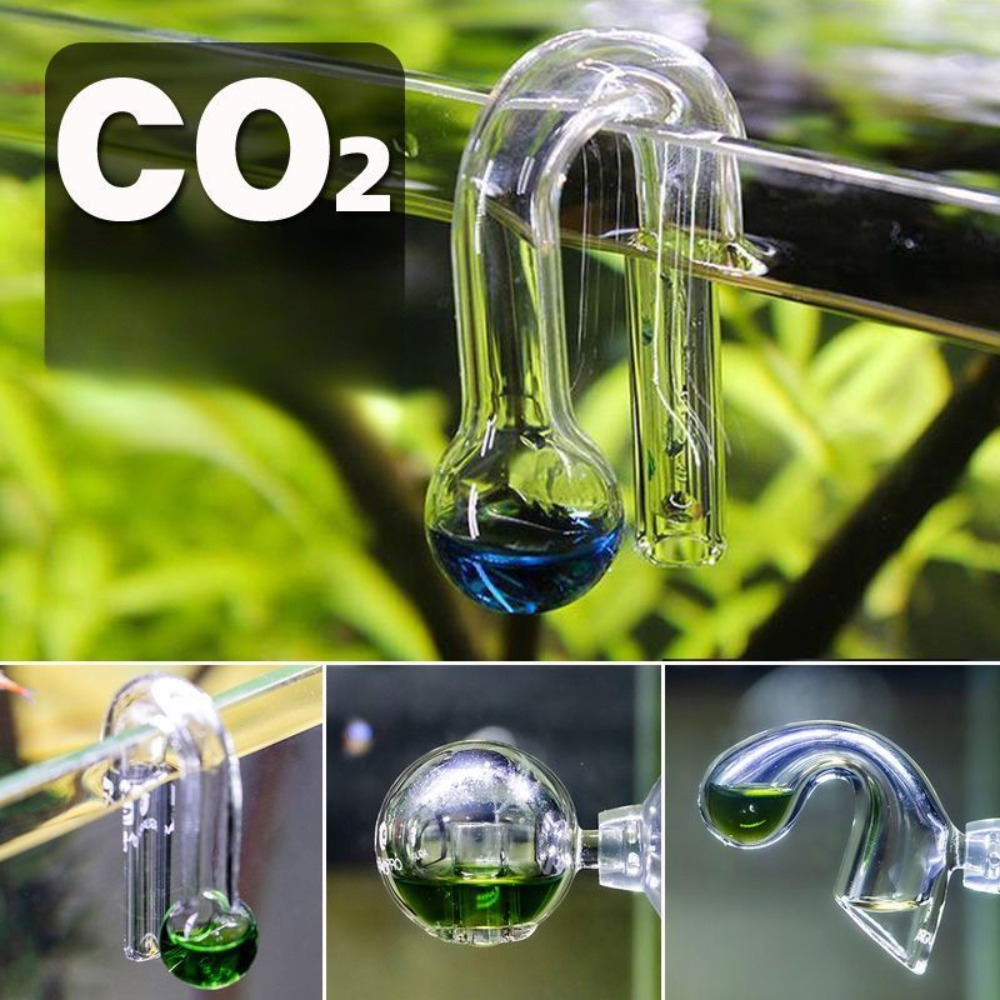 Diffuse Glass CO2 Drop Checker - Planted Aquarium Ph 评论和价格