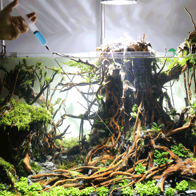 30cm 50cm Aquarium Plants Grow - Aquarium Plant Growth 评论和价格