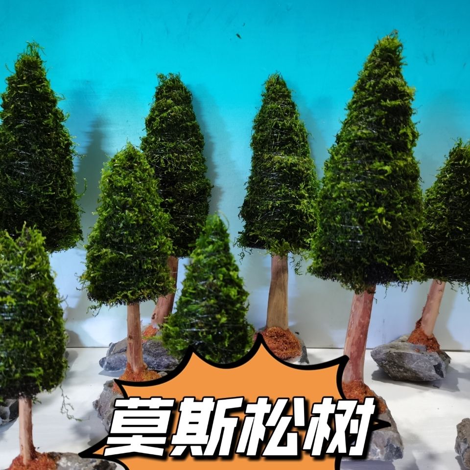 Aquarium Decoration Aquatic Pl - Aquarium Plant Seeds 评论和价格