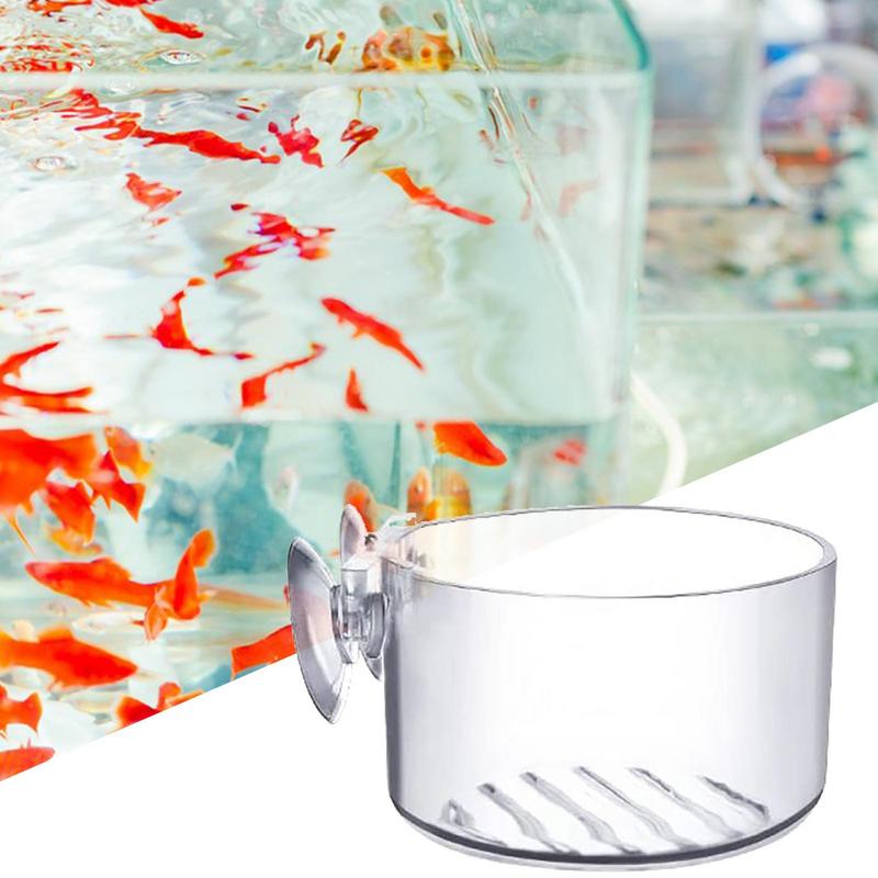 Fish Tank Decoration Accessory - Aquarium Plant Seeds 评论和价格