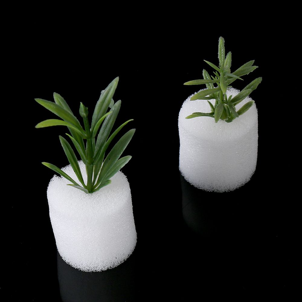 10/50pcs Durable Planting Aqua - Aquarium Plant Seeds 评论和价格