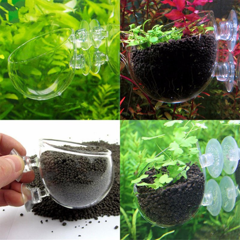 Aquarium Hanging Plant Pot Gla - Aquarium Plant Seeds 评论和价格