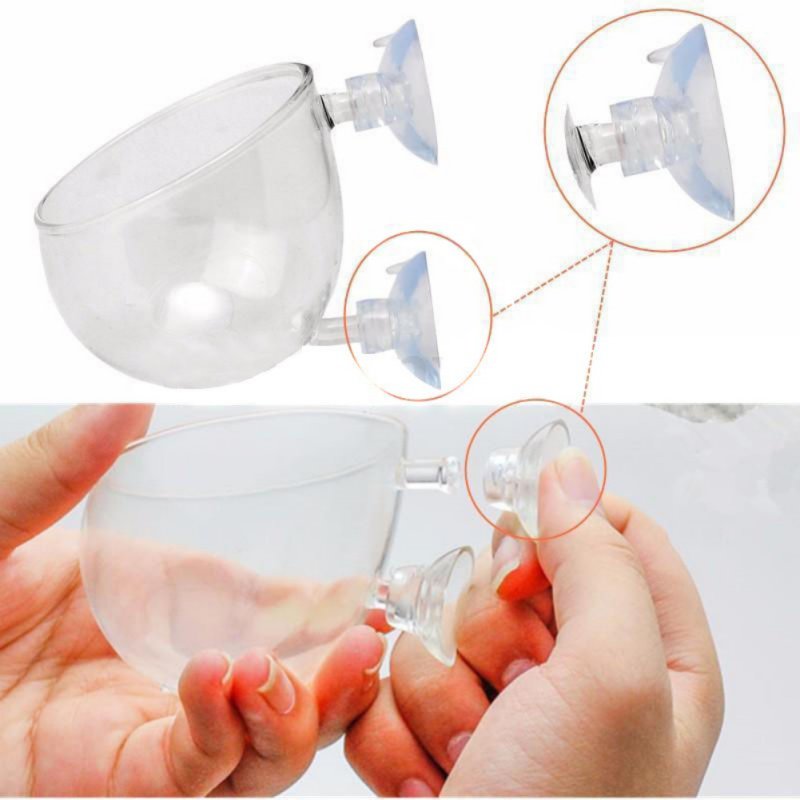 Aquarium Hanging Plant Pot Gla - Aquarium Plant Seeds 评论和价格