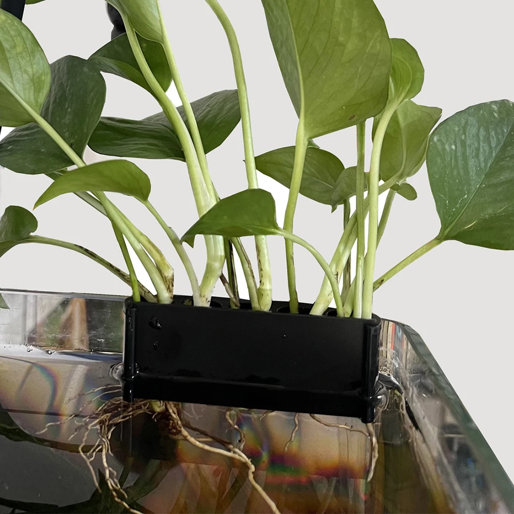 S/L Hanging Aquarium Plant Hol - Planted Aquarium Aquascape 评论和价格