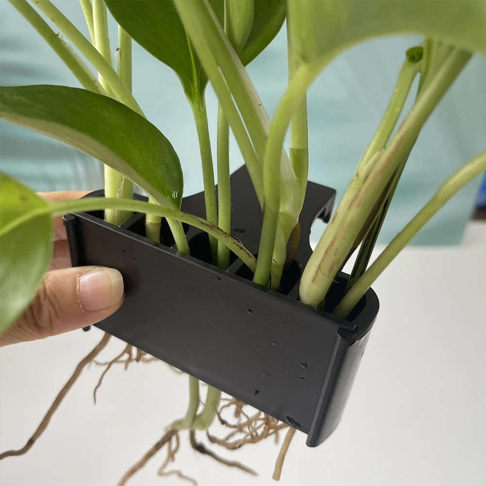 S/L Hanging Aquarium Plant Hol - Planted Aquarium Aquascape 评论和价格