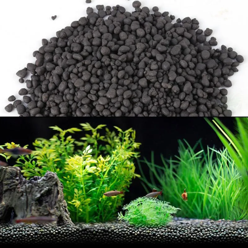 1kg Watergrass Aquarium Plants - Aquarium Plant Seeds 评论和价格