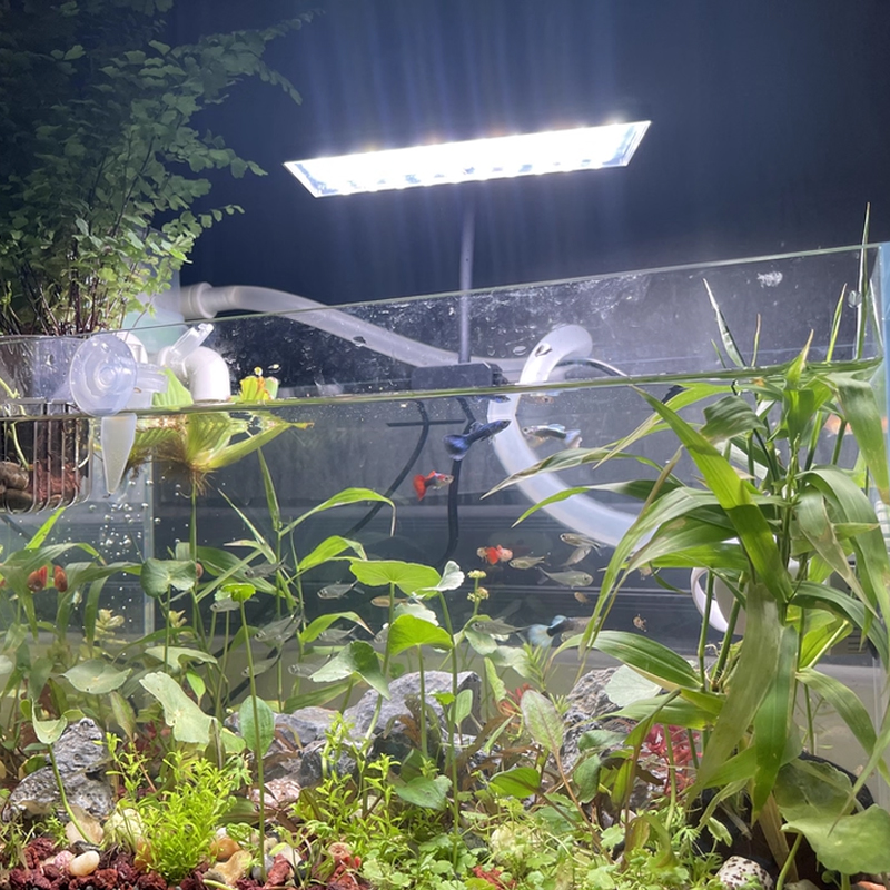 Aquarium Fish Tank Full Spectr - Planted Aquarium Cycling 评论和价格