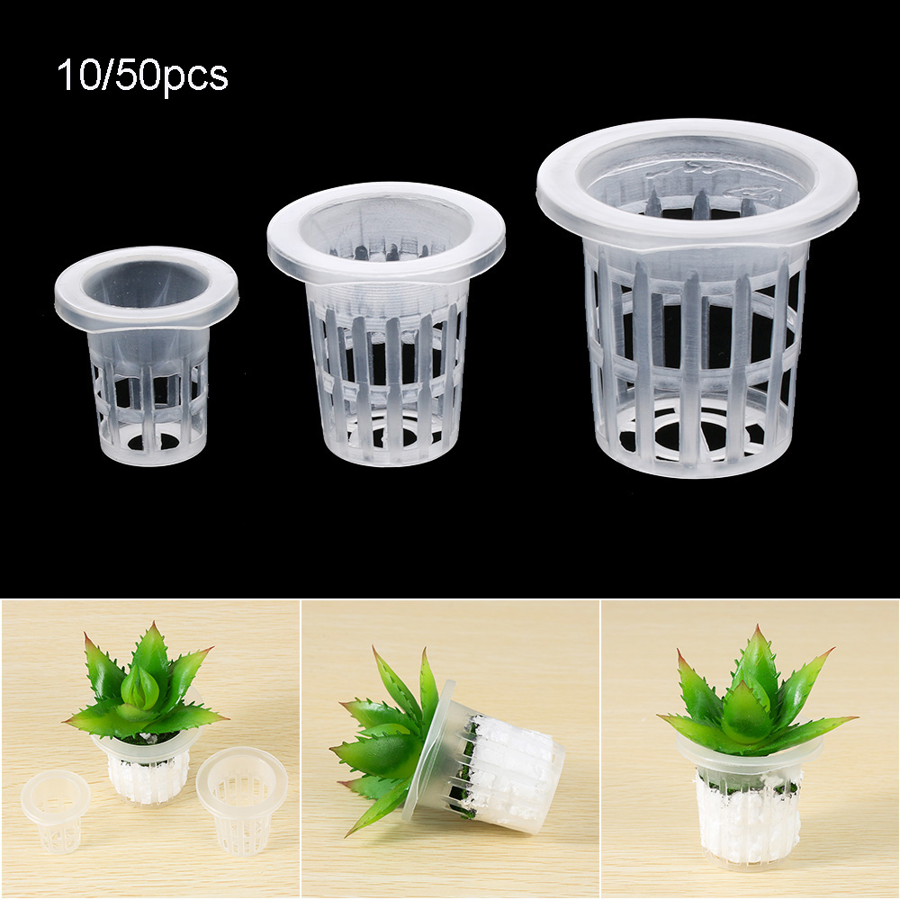 10/50pcs Garden Supplies Plant - Aquarium Plant Seeds 评论和价格