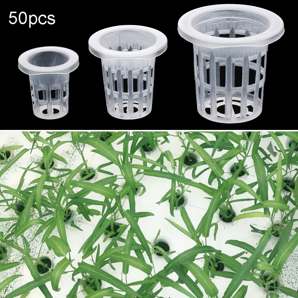 10/50pcs Garden Supplies Plant - Aquarium Plant Seeds 评论和价格